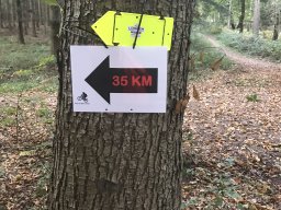 Strahlemännchen Tour 2018