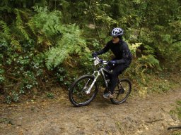 Der Balthasar-Ride 2019